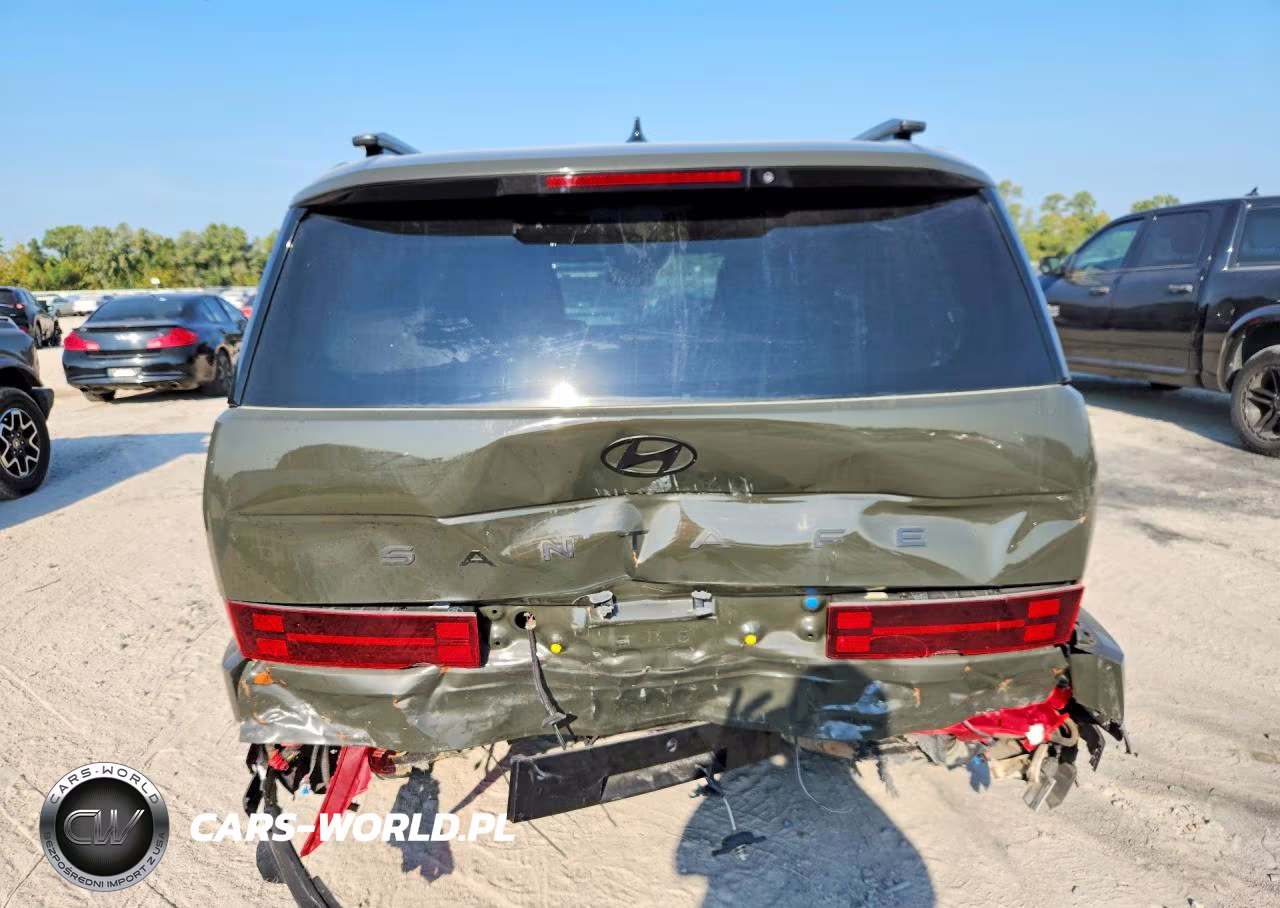 2024 Hyundai Santa Fe Calligraphy VIN:5NMP54GL1RH056727 - 6