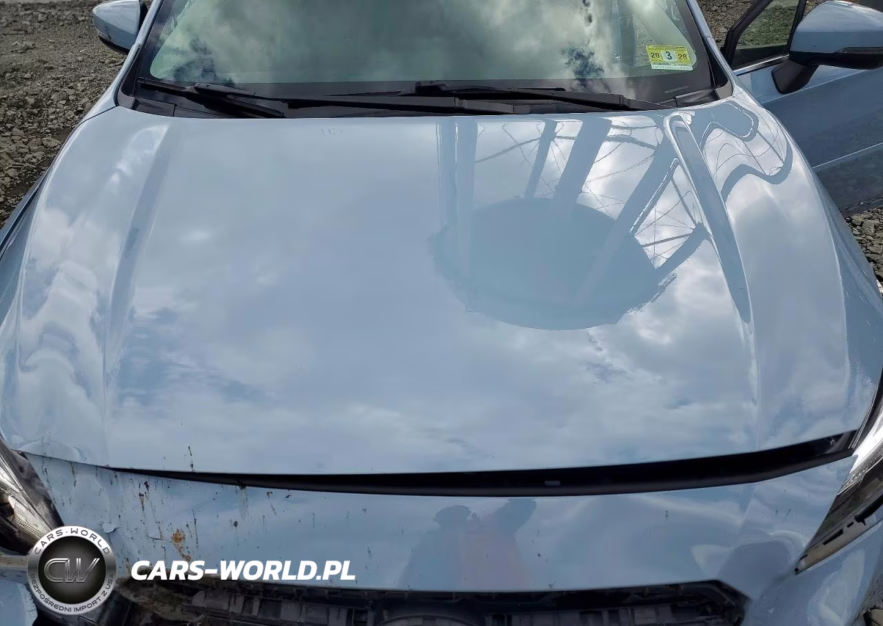 2019 Subaru Crosstrek Limited VIN:JF2GTAMC4K8332867 - 12