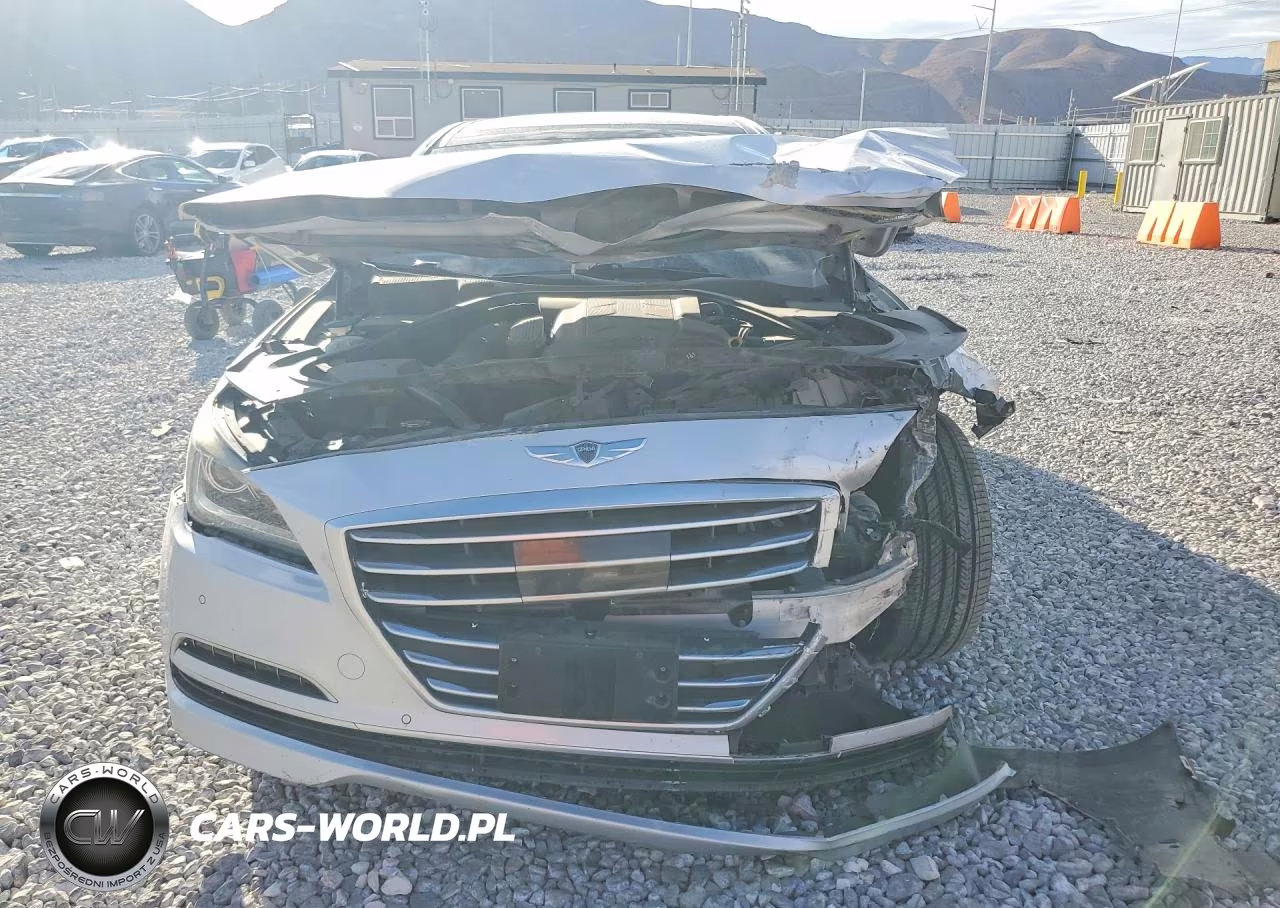 2015 Hyundai Genesis 3.8L VIN:KMHGN4JE9FU060809 - 5