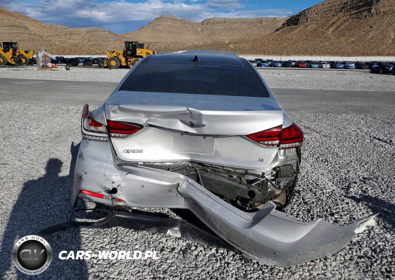 2015 Hyundai Genesis 3.8L VIN:KMHGN4JE9FU060809 - 6