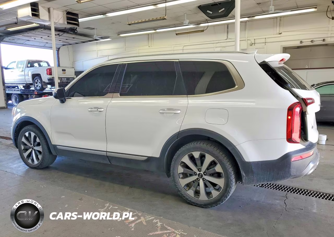 2020 Kia Telluride S VIN:5XYP6DHC1LG090020 - 2