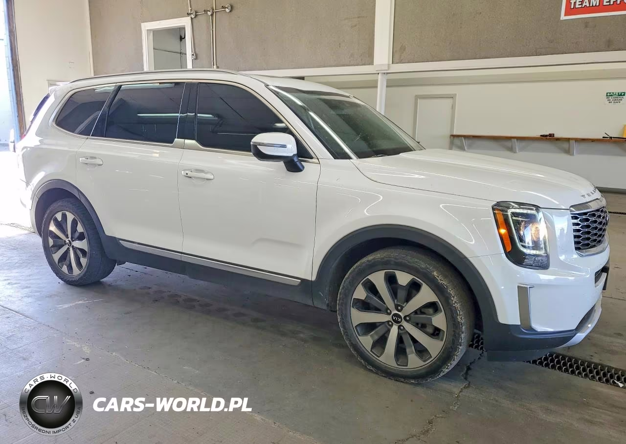 2020 Kia Telluride S VIN:5XYP6DHC1LG090020 - 4