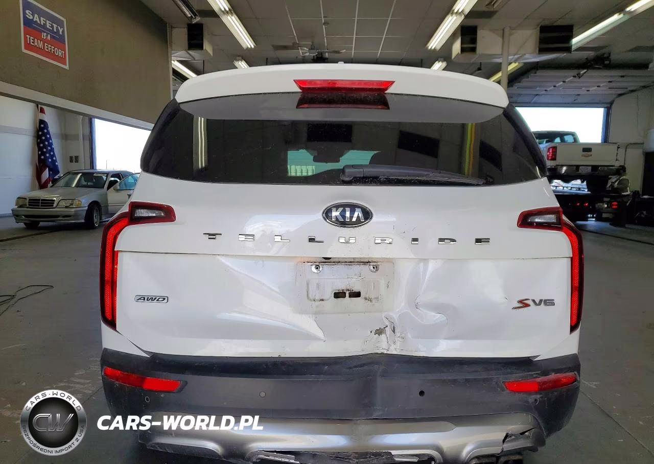 2020 Kia Telluride S VIN:5XYP6DHC1LG090020 - 6