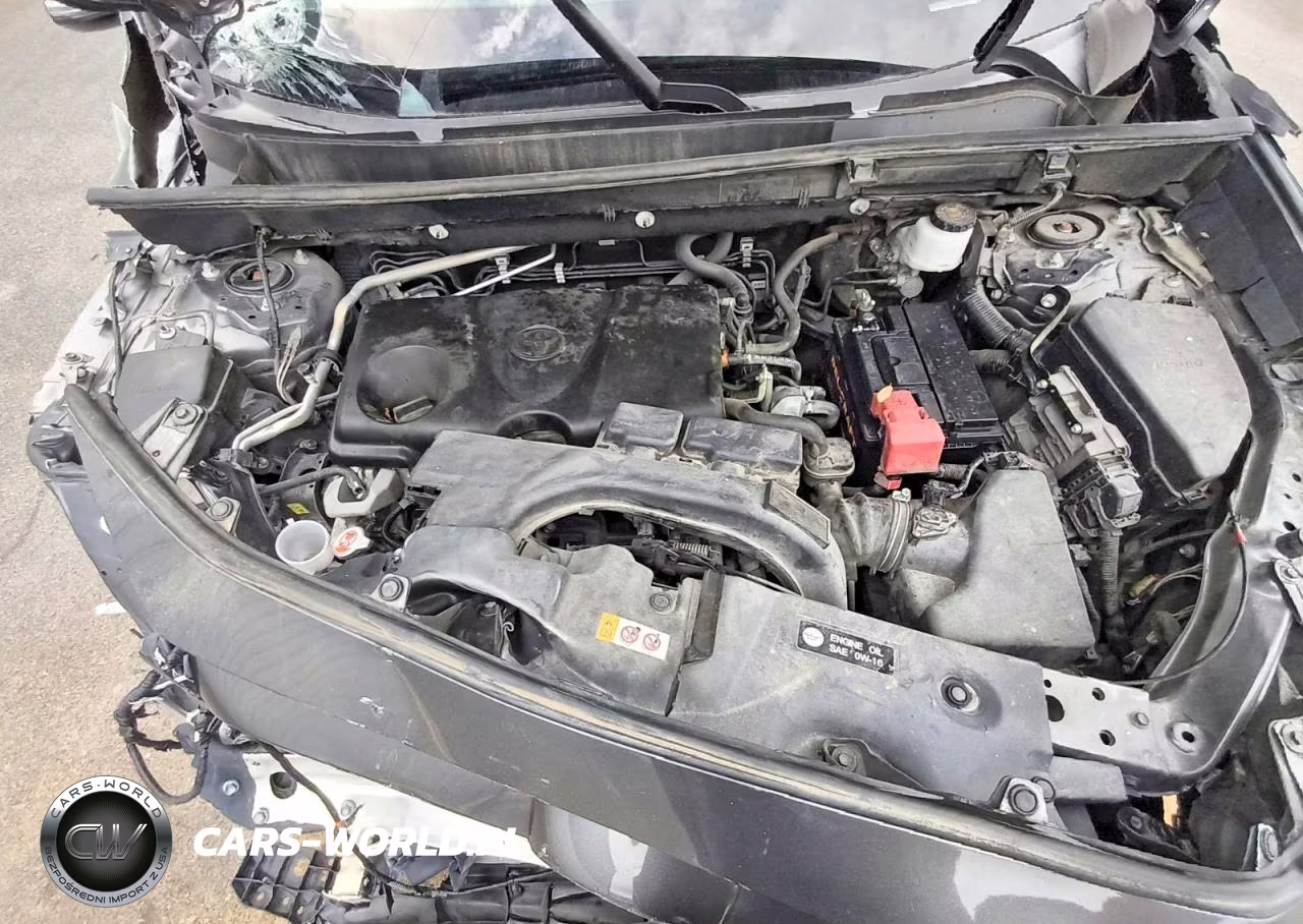 2019 Toyota Rav4 Xle VIN:2T3W1RFV8KC023606 - 12