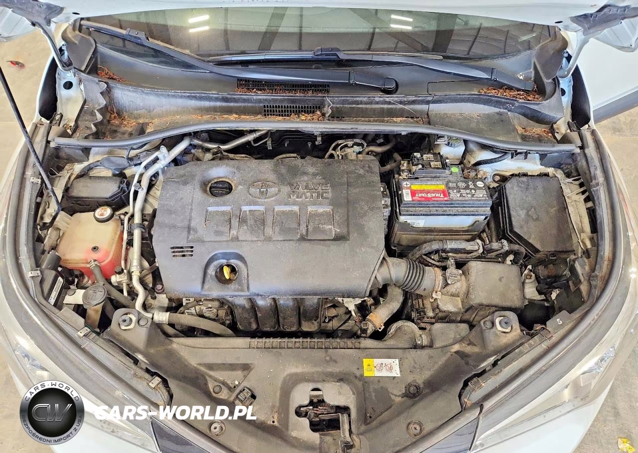 2019 Toyota C-Hr Xle VIN:JTNKHMBX9K1013289 - 12