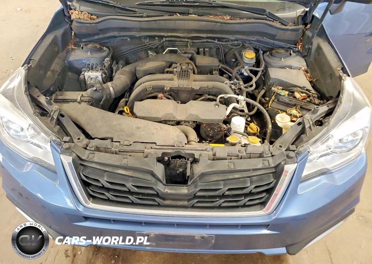 2017 Subaru Forester 2.5I Premium VIN:JF2SJAEC7HH401722 - 12