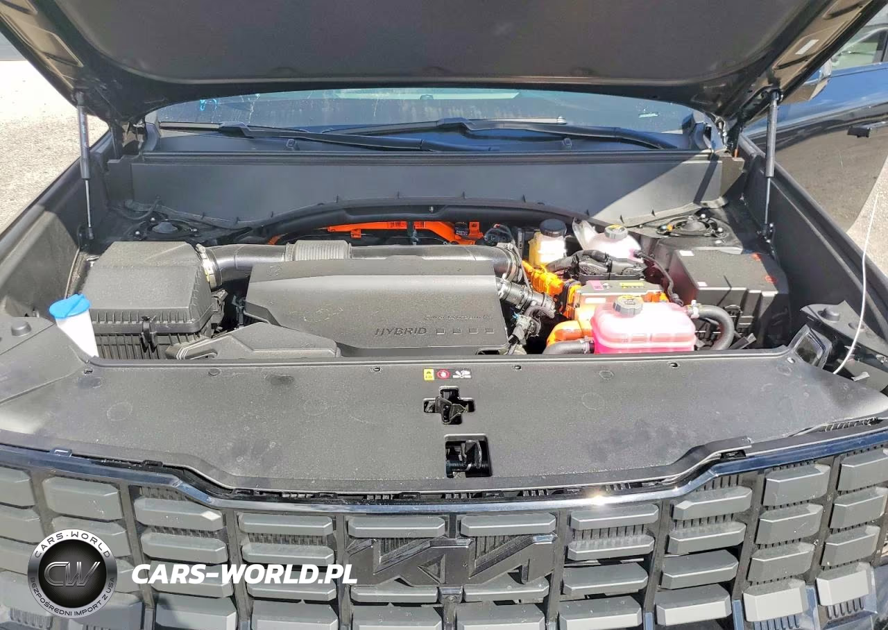 2027 Kia Telluride Hybrid X-Line Sx VIN:5XYPDESA1VG024668 - 12