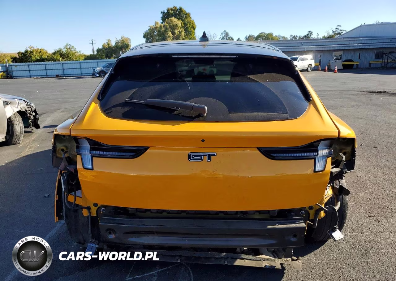 2021 Ford Mustang Mach-E Gt VIN:3FMTK4SE1MME03913 - 6