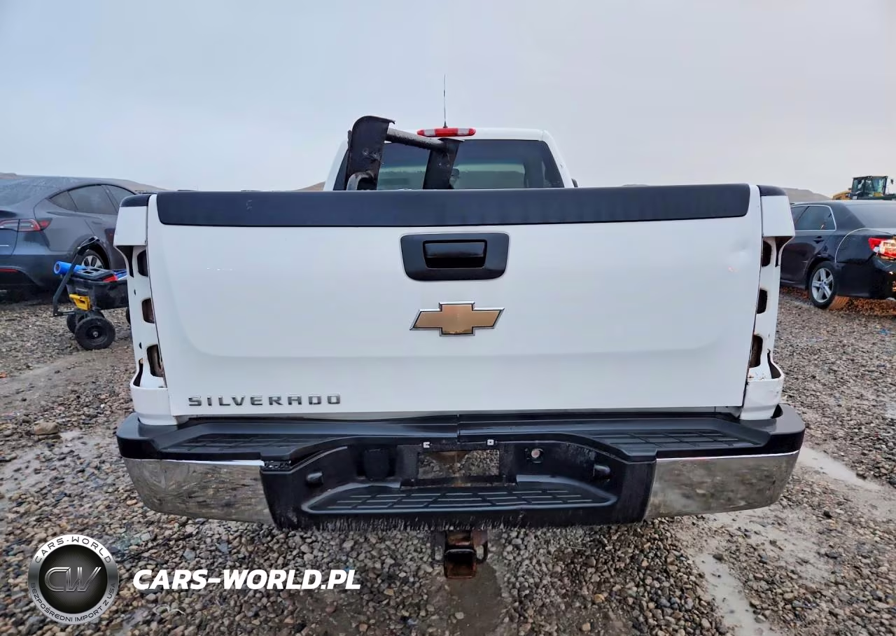 2010 Chevrolet Silverado K2500 Heavy Duty VIN:1GC3KVBG2AF157638 - 6