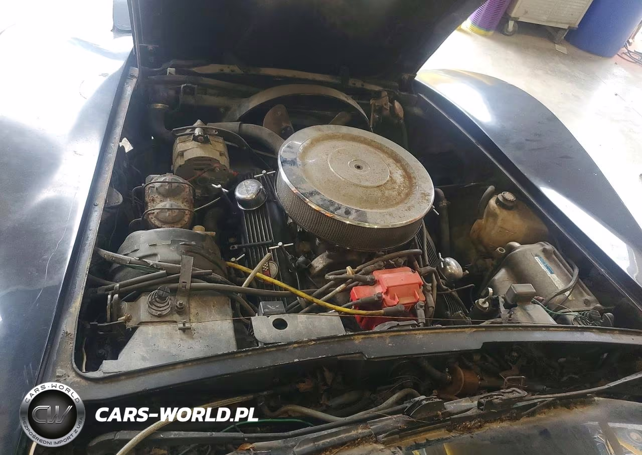 1981 Chevrolet Corvette VIN:1G1AY8761BS420145 - 11