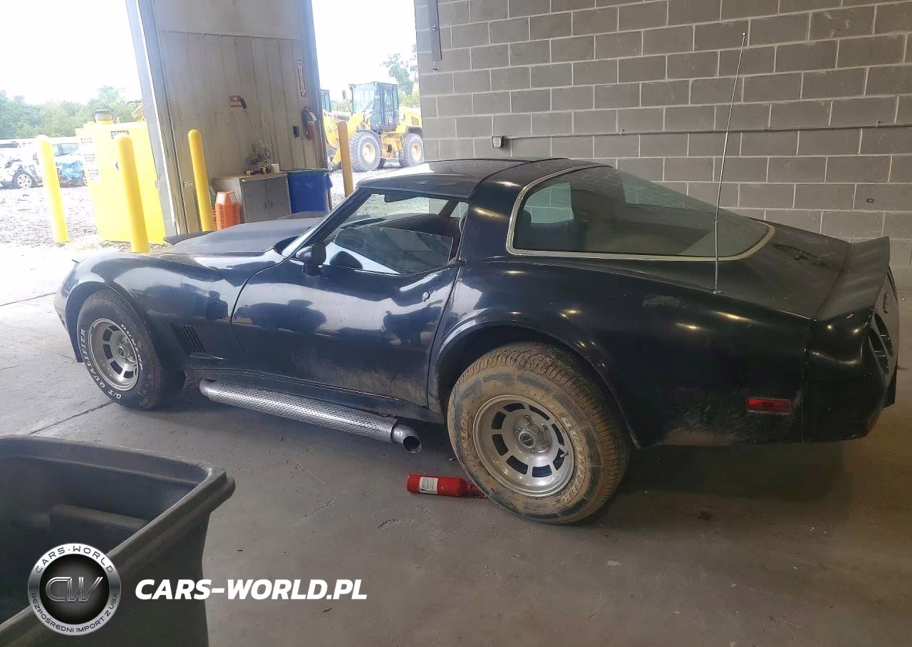 1981 Chevrolet Corvette VIN:1G1AY8761BS420145 - 2