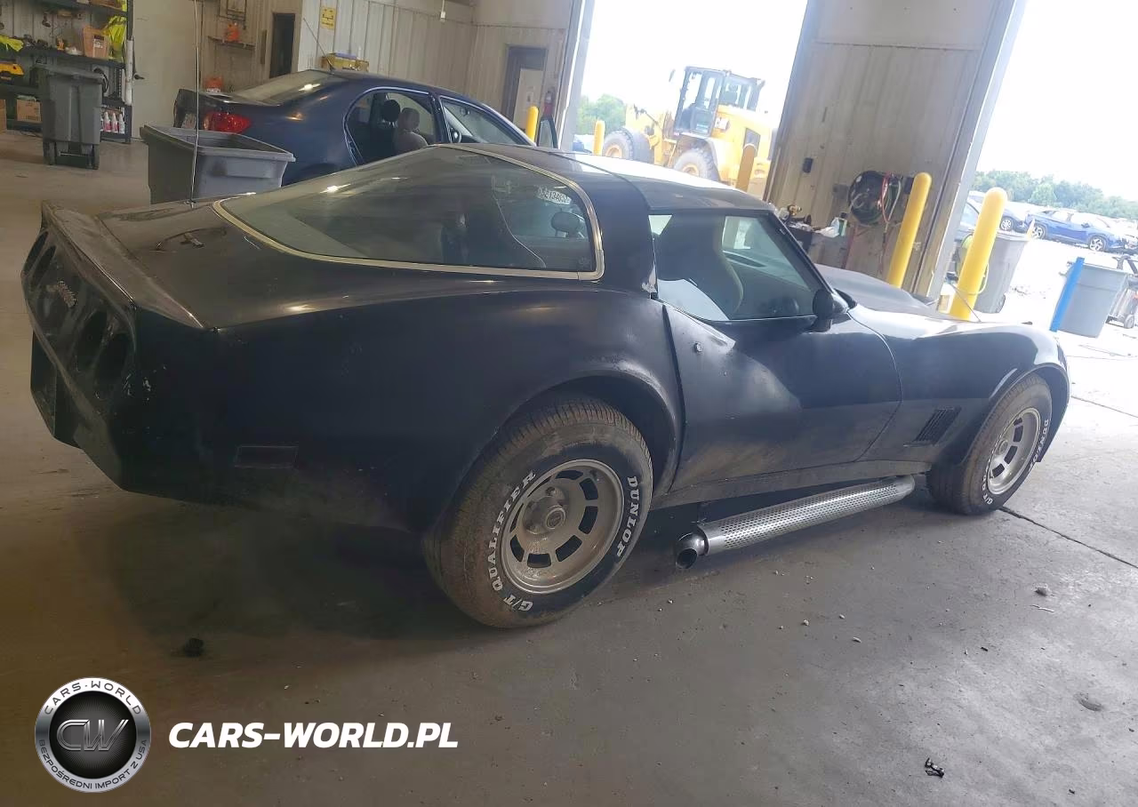 1981 Chevrolet Corvette VIN:1G1AY8761BS420145 - 3