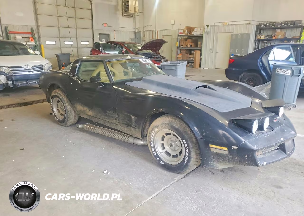 1981 Chevrolet Corvette VIN:1G1AY8761BS420145 - 4