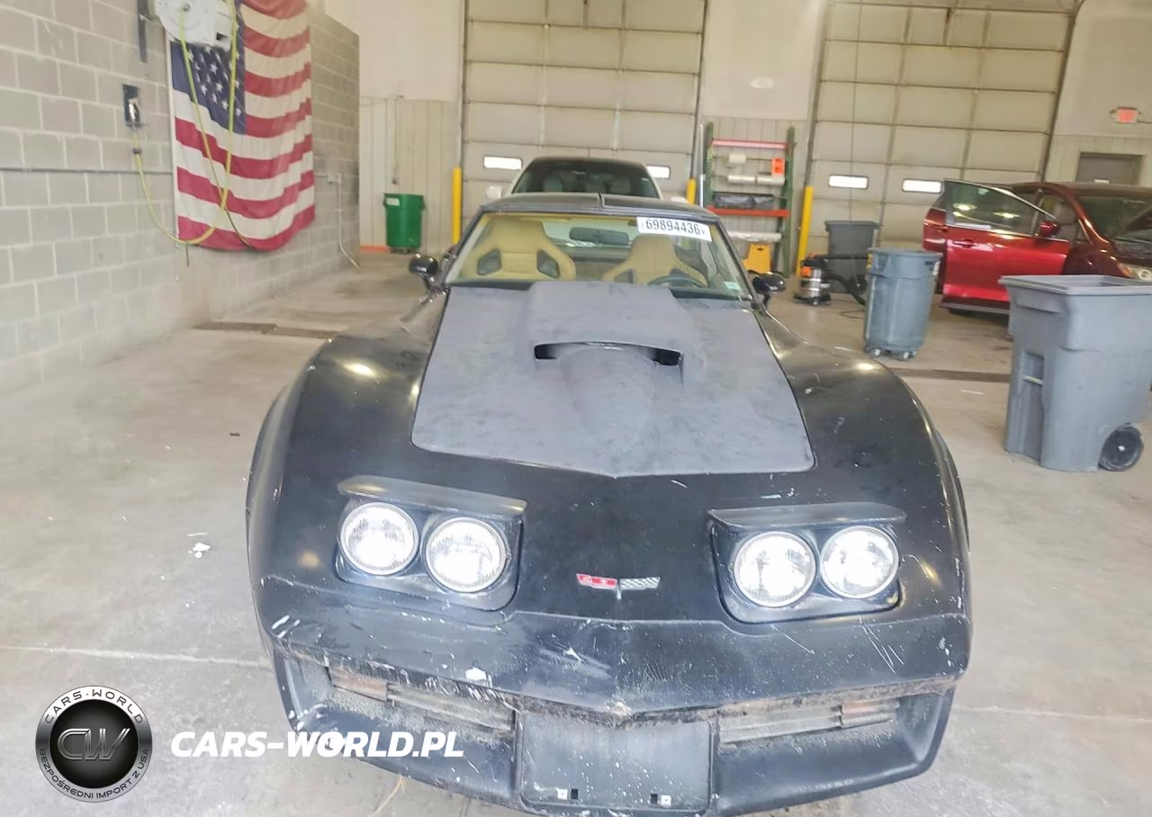 1981 Chevrolet Corvette VIN:1G1AY8761BS420145 - 5