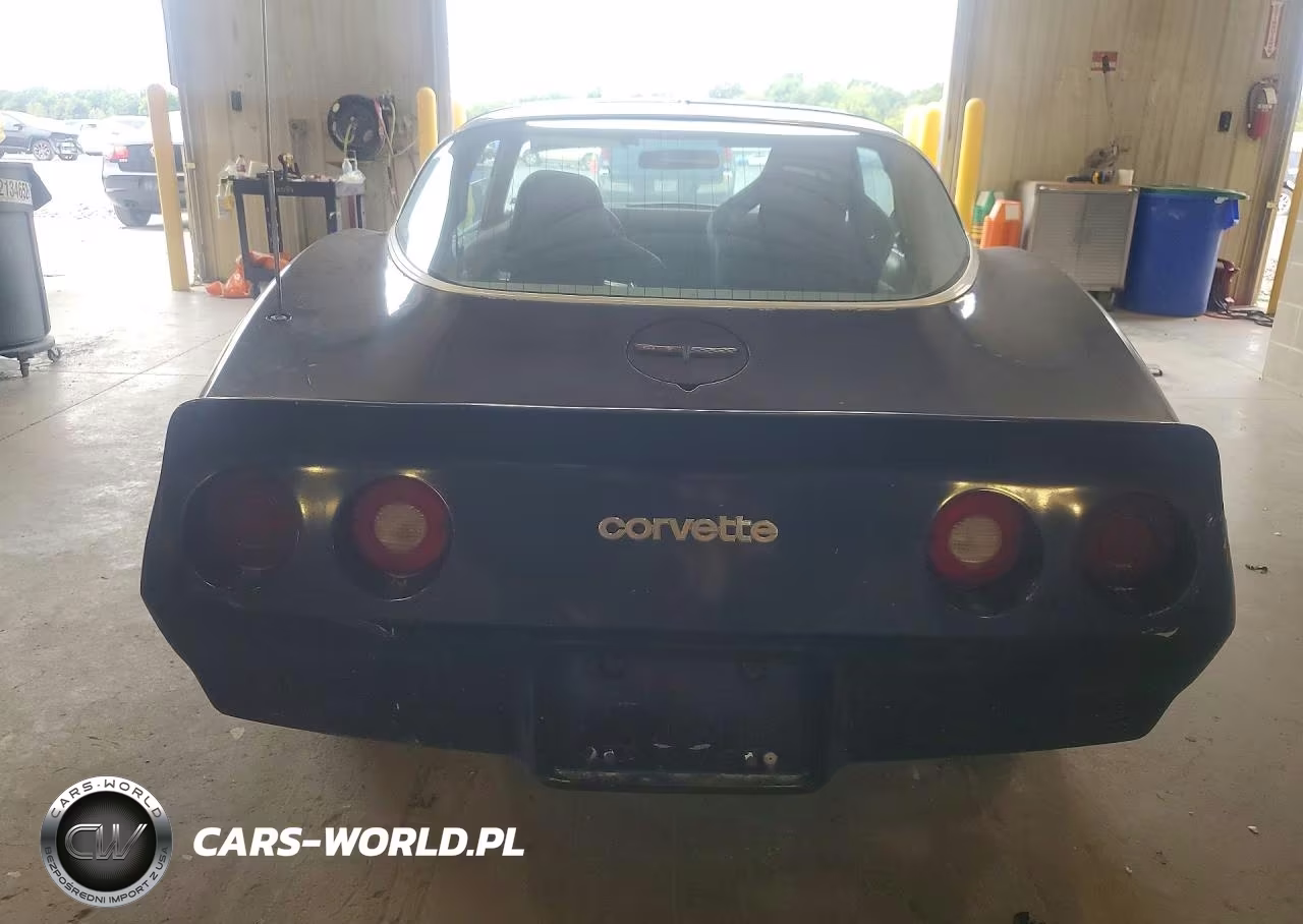 1981 Chevrolet Corvette VIN:1G1AY8761BS420145 - 6