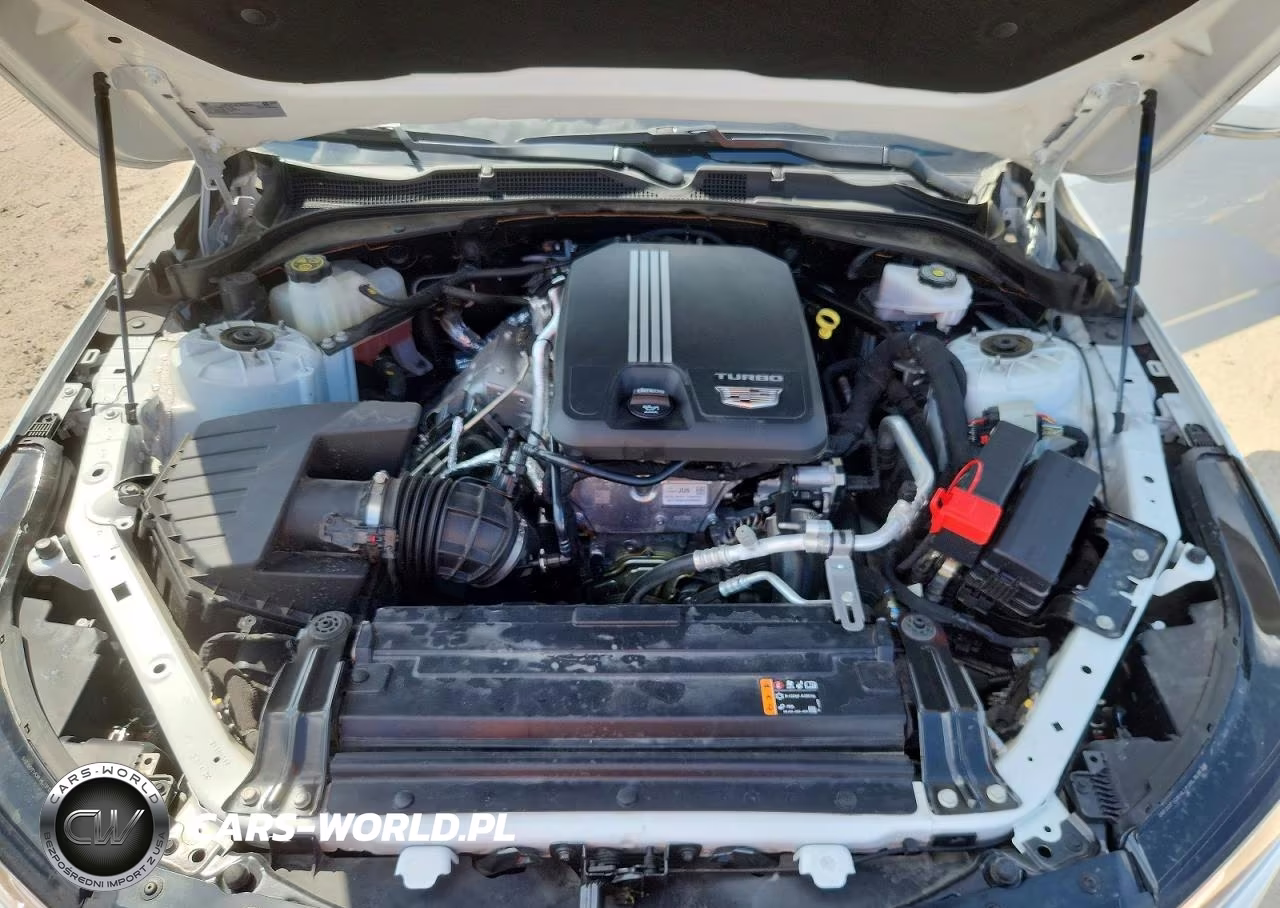 2022 Cadillac Ct4 Luxury VIN:1G6DJ5RK0N011149S - 11
