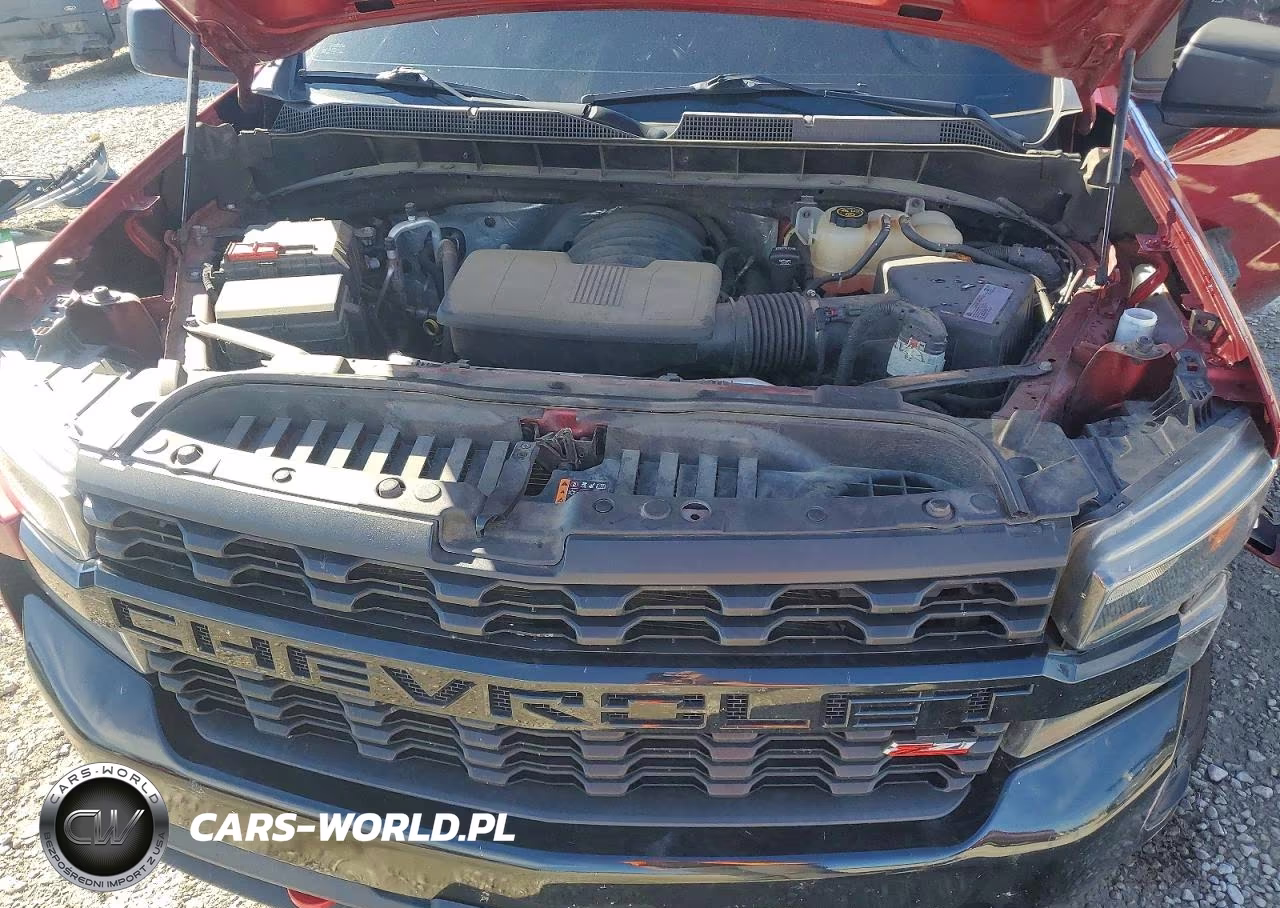 2021 Chevrolet Silverado K1500 Trail Boss Custom VIN:1GCPYCEF9MZ428429 - 11