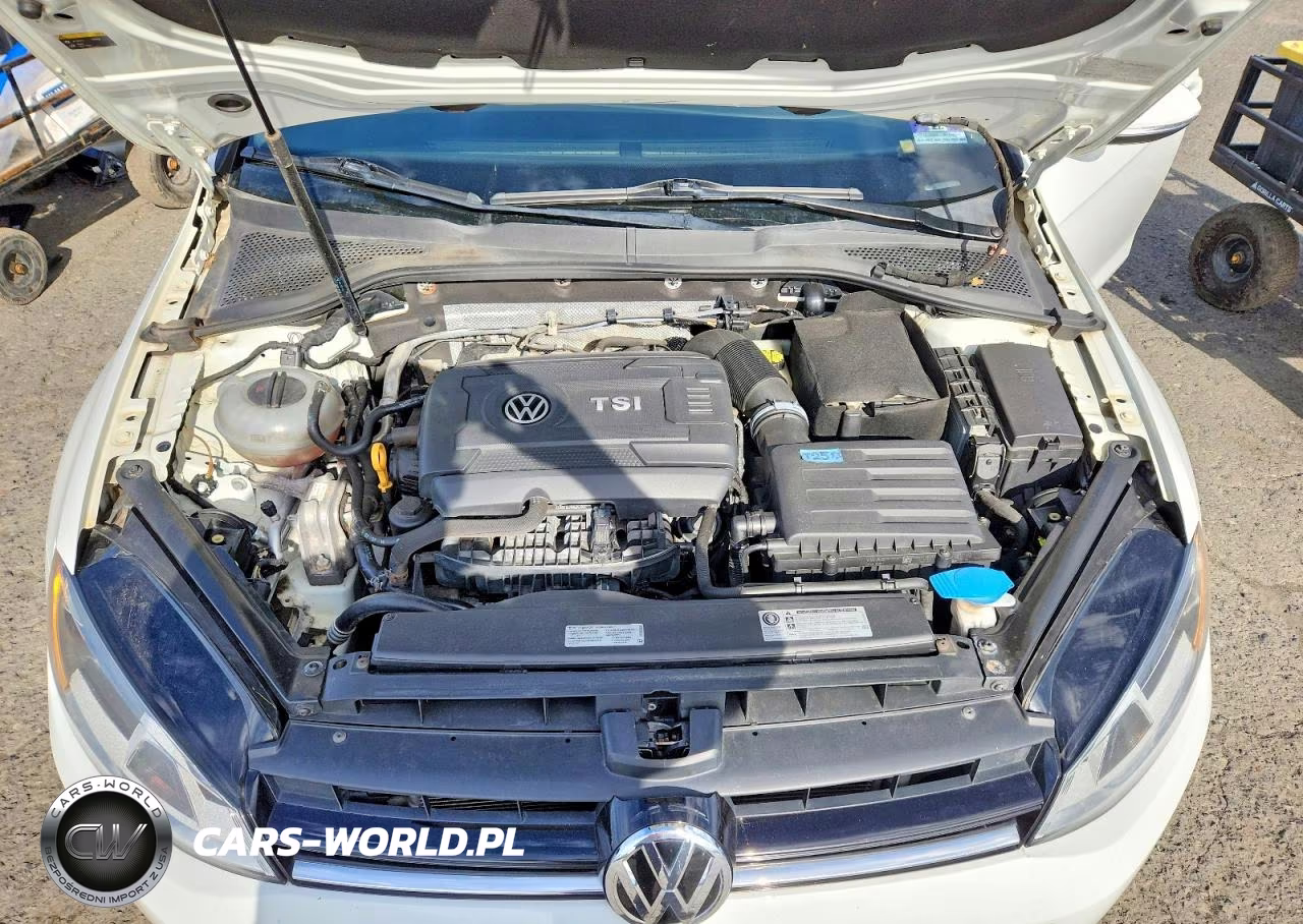2017 Volkswagen Golf Sportwagen VIN:3VWA17AU4HM502091 - 11