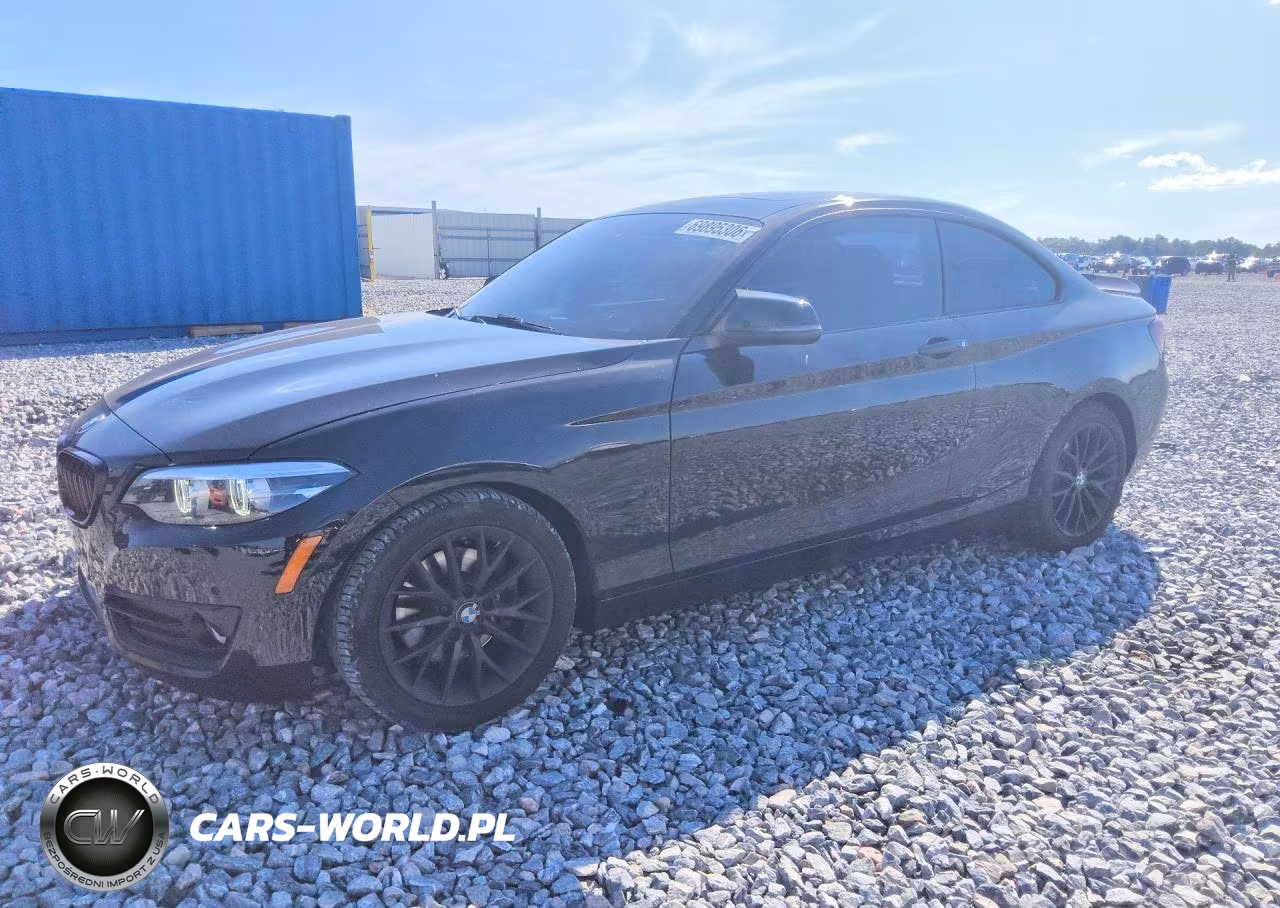 2018 BMW 230I