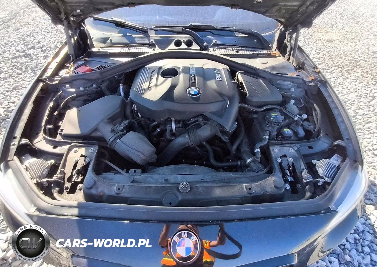 2018 BMW 230I VIN:WBA2J1C56JVD09642 - 11