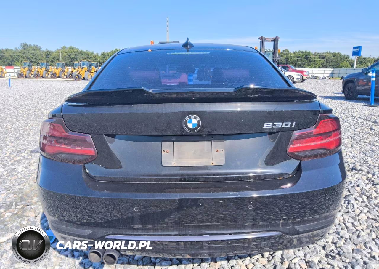 2018 BMW 230I VIN:WBA2J1C56JVD09642 - 6