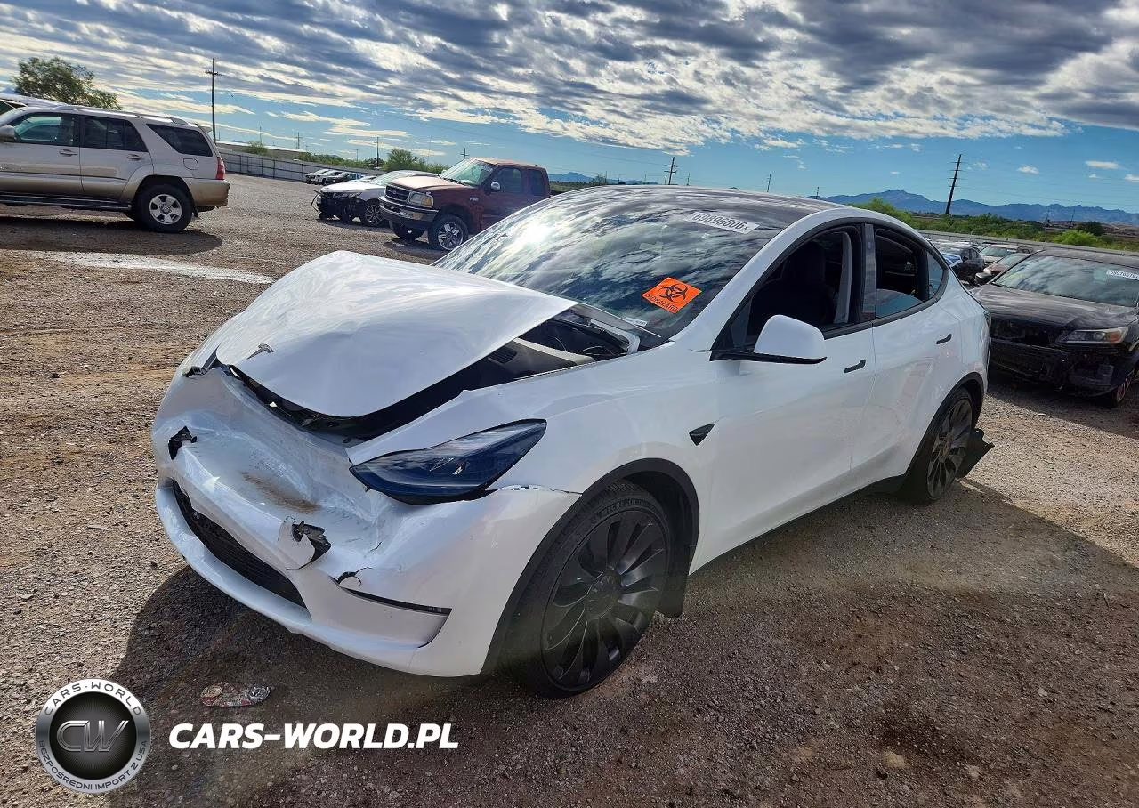2023 Tesla Model Y VIN:7SAYGDEF5PF601521 - 1