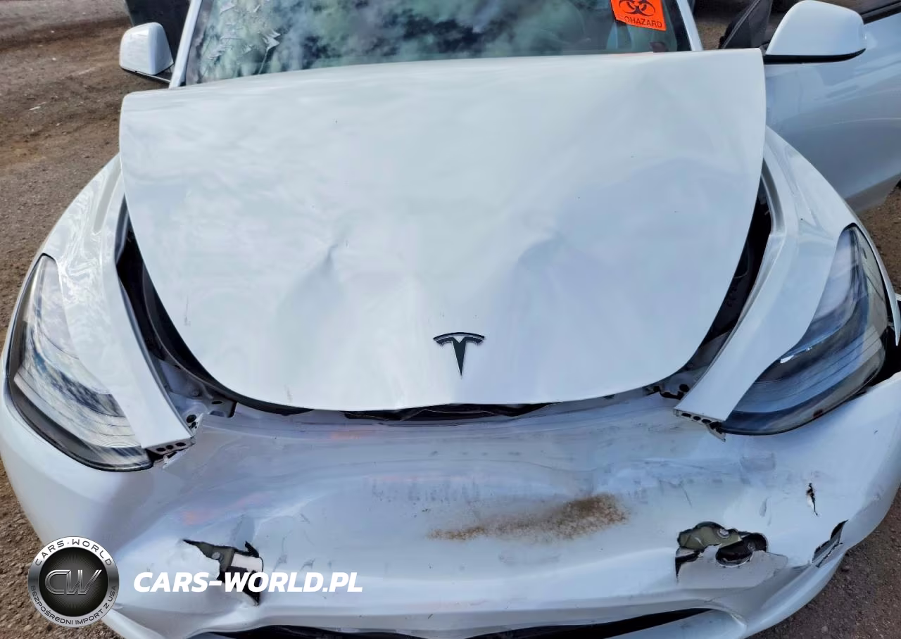2023 Tesla Model Y VIN:7SAYGDEF5PF601521 - 11