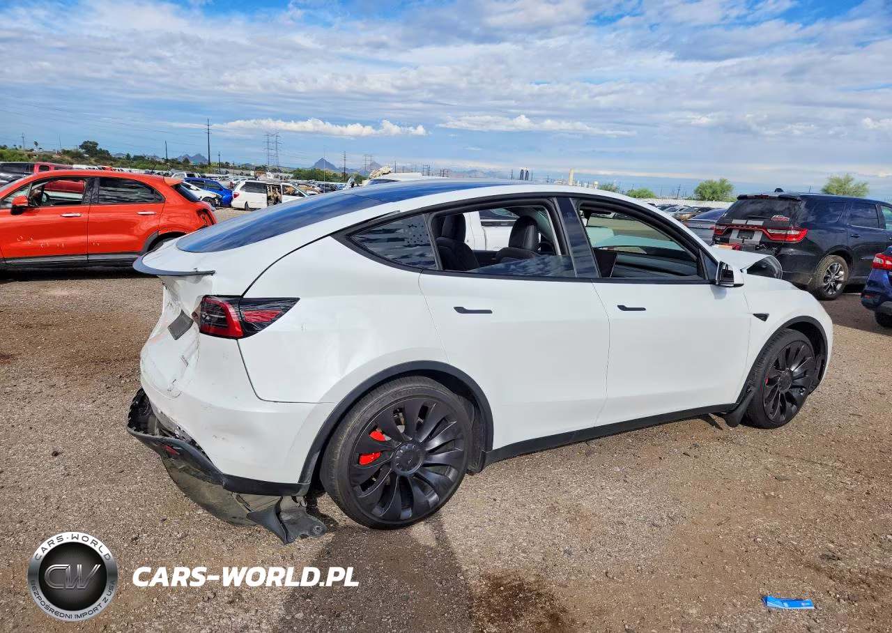 2023 Tesla Model Y VIN:7SAYGDEF5PF601521 - 3