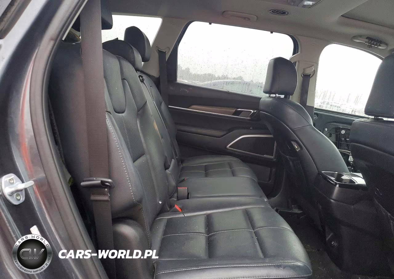 2020 Kia Telluride Ex VIN:5XYP3DHC9LG011475 - 11