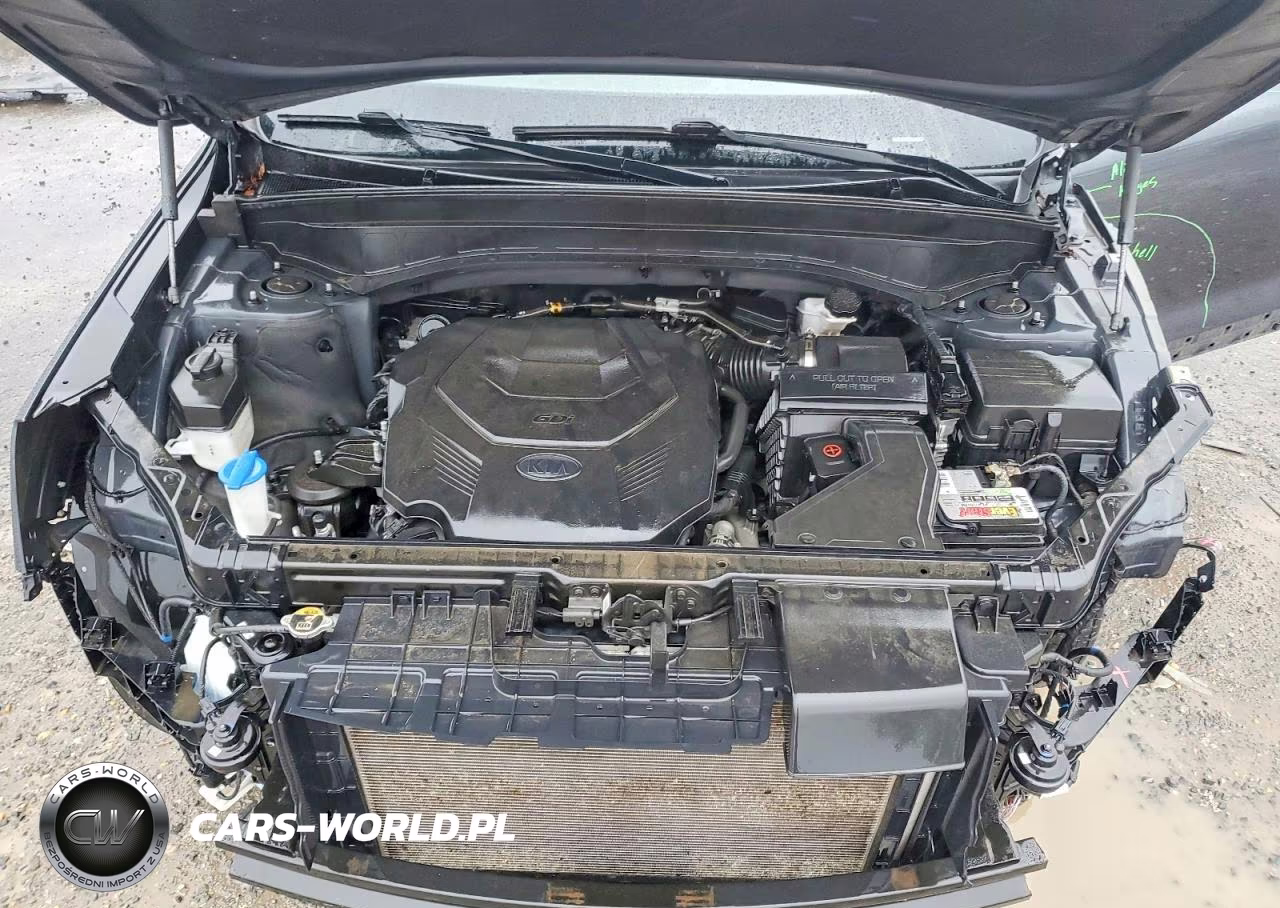 2020 Kia Telluride Ex VIN:5XYP3DHC9LG011475 - 12