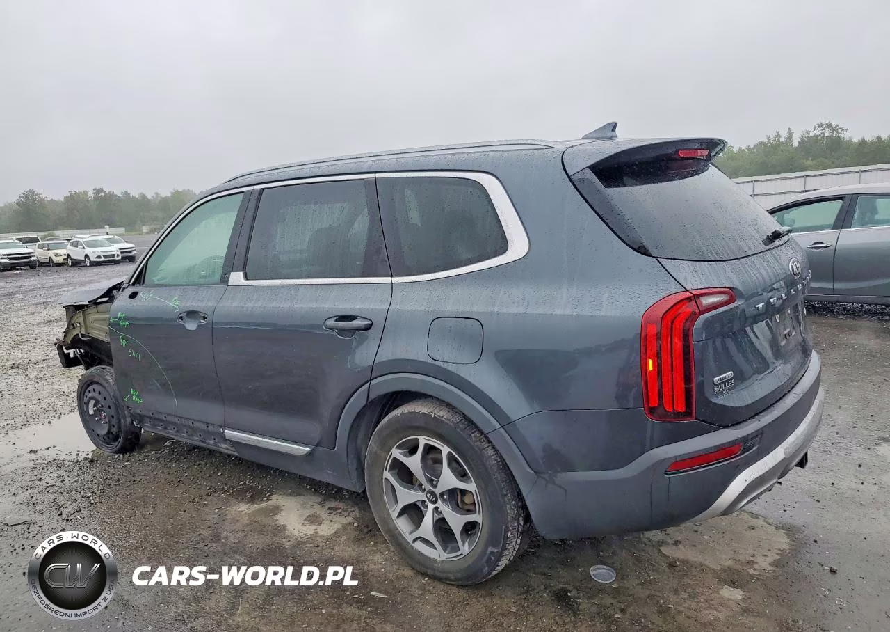2020 Kia Telluride Ex VIN:5XYP3DHC9LG011475 - 2