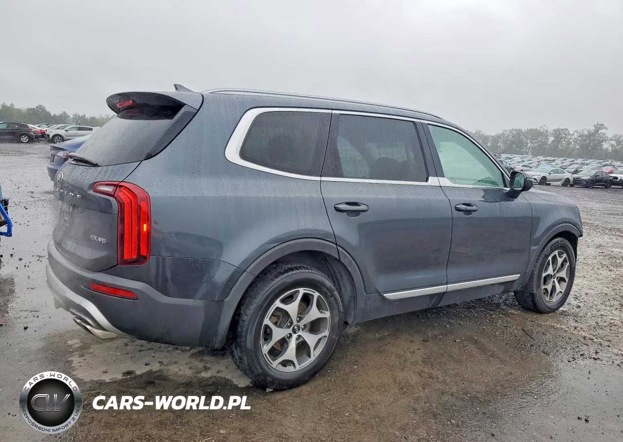 2020 Kia Telluride Ex VIN:5XYP3DHC9LG011475 - 3