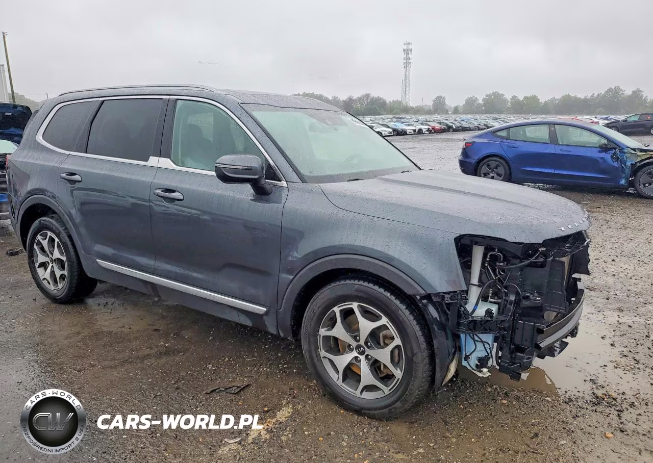 2020 Kia Telluride Ex VIN:5XYP3DHC9LG011475 - 4