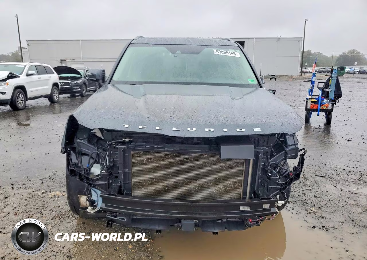 2020 Kia Telluride Ex VIN:5XYP3DHC9LG011475 - 5