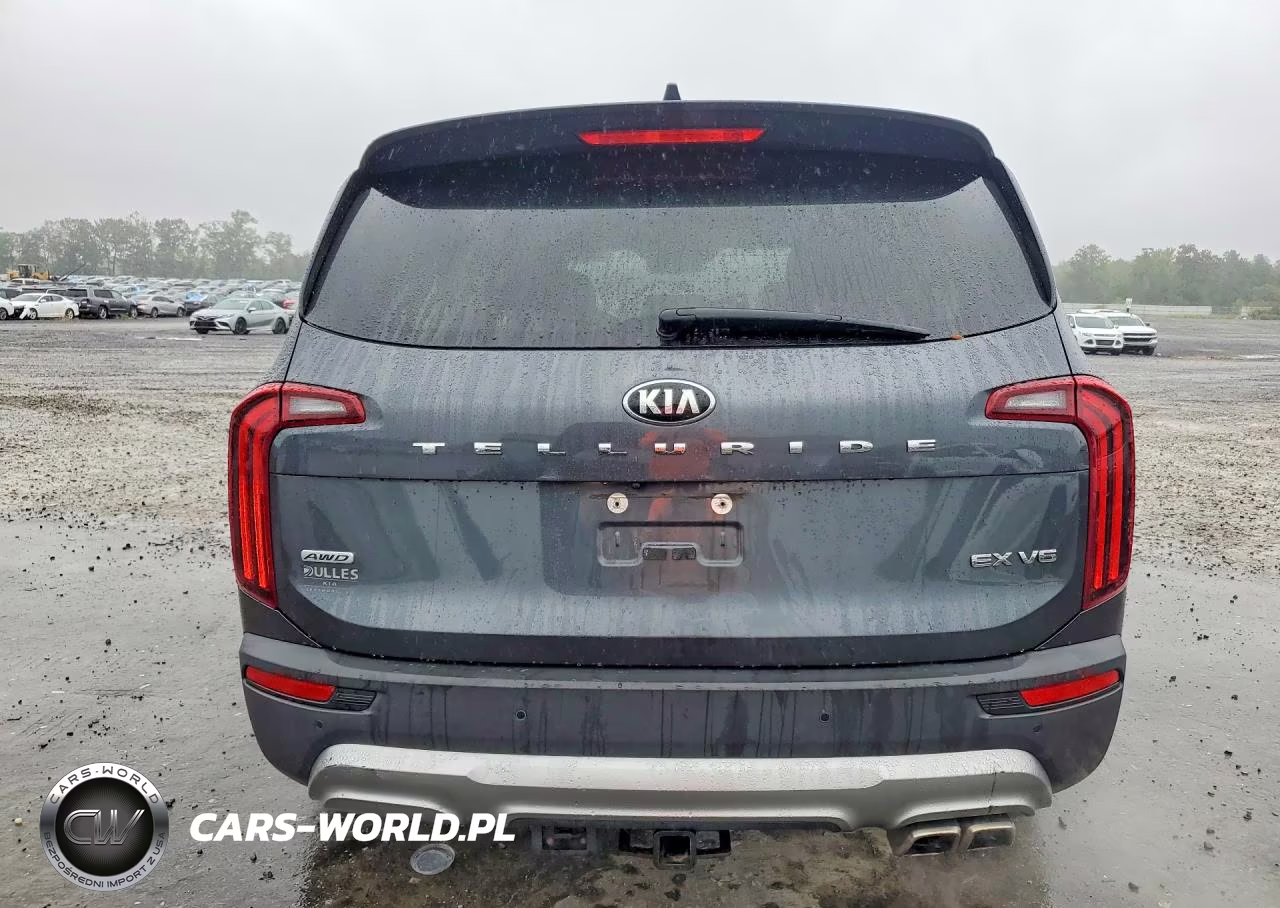 2020 Kia Telluride Ex VIN:5XYP3DHC9LG011475 - 6