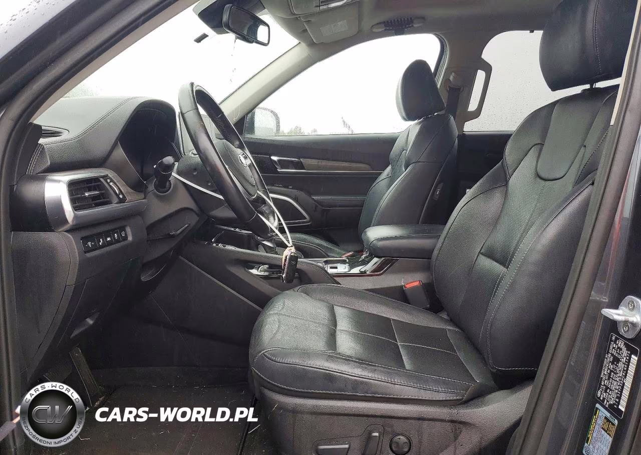 2020 Kia Telluride Ex VIN:5XYP3DHC9LG011475 - 7