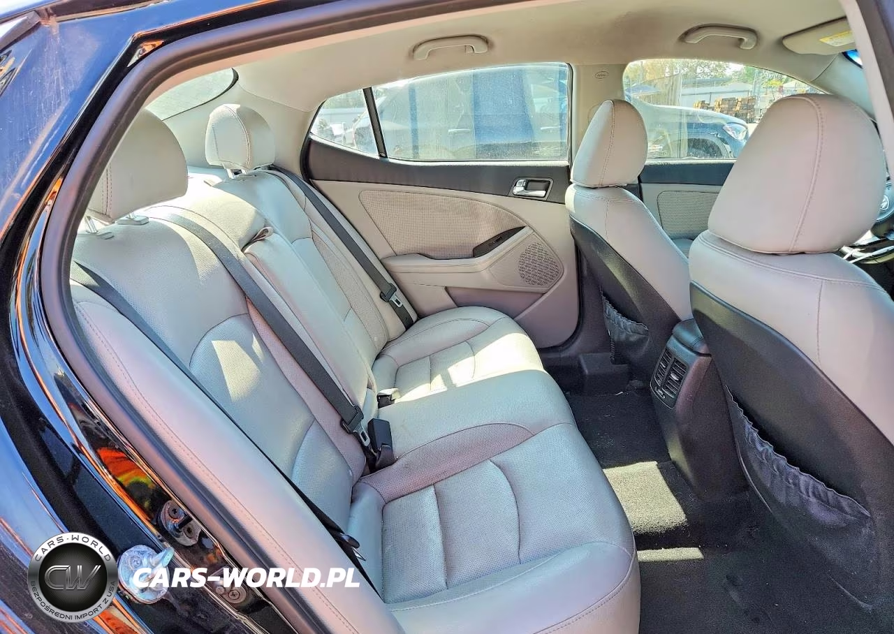 2015 Kia Optima Ex VIN:5XXGN4A75FG395593 - 10