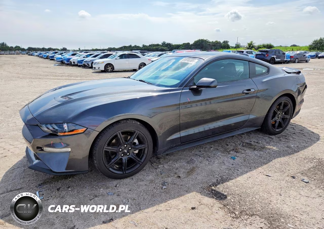 2019 Ford Mustang VIN:1FA6P8TH9K5131915 - 1