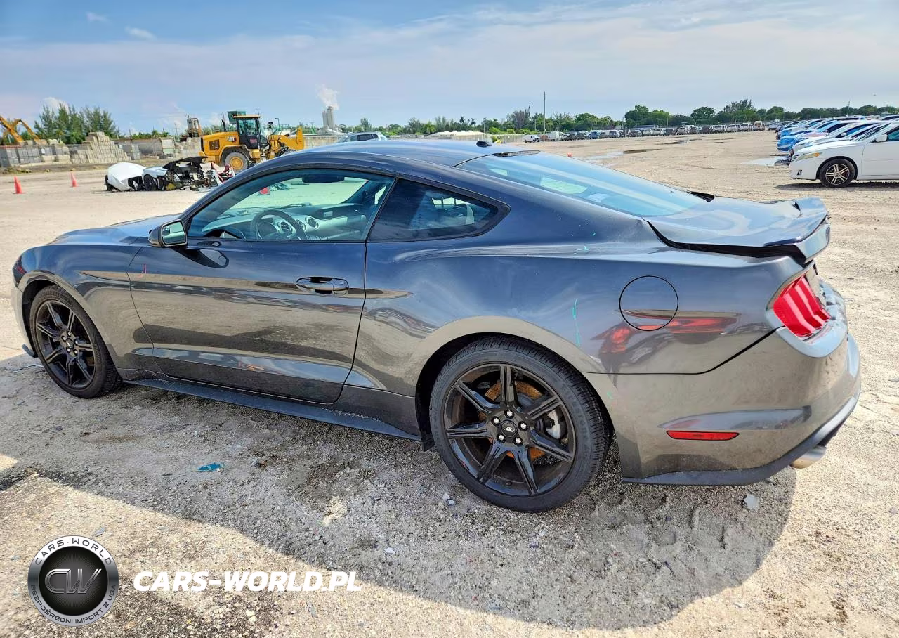 2019 Ford Mustang VIN:1FA6P8TH9K5131915 - 2