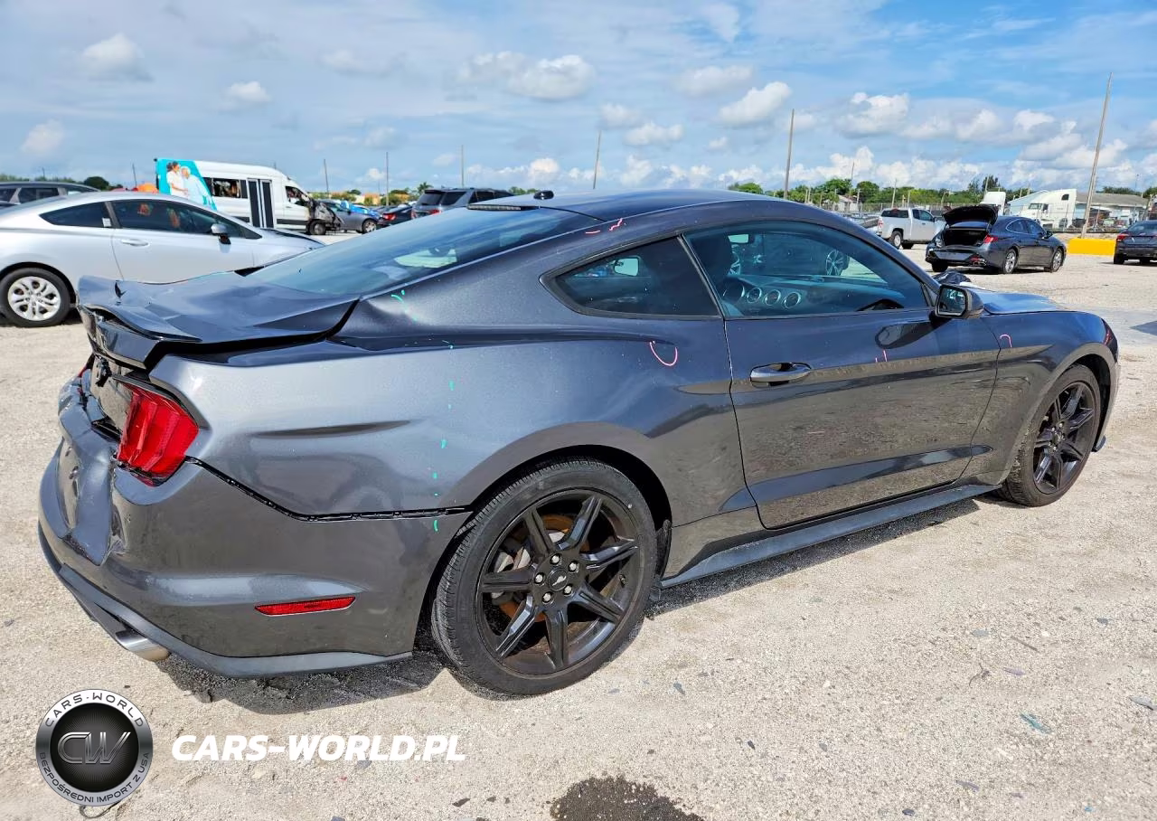 2019 Ford Mustang VIN:1FA6P8TH9K5131915 - 3