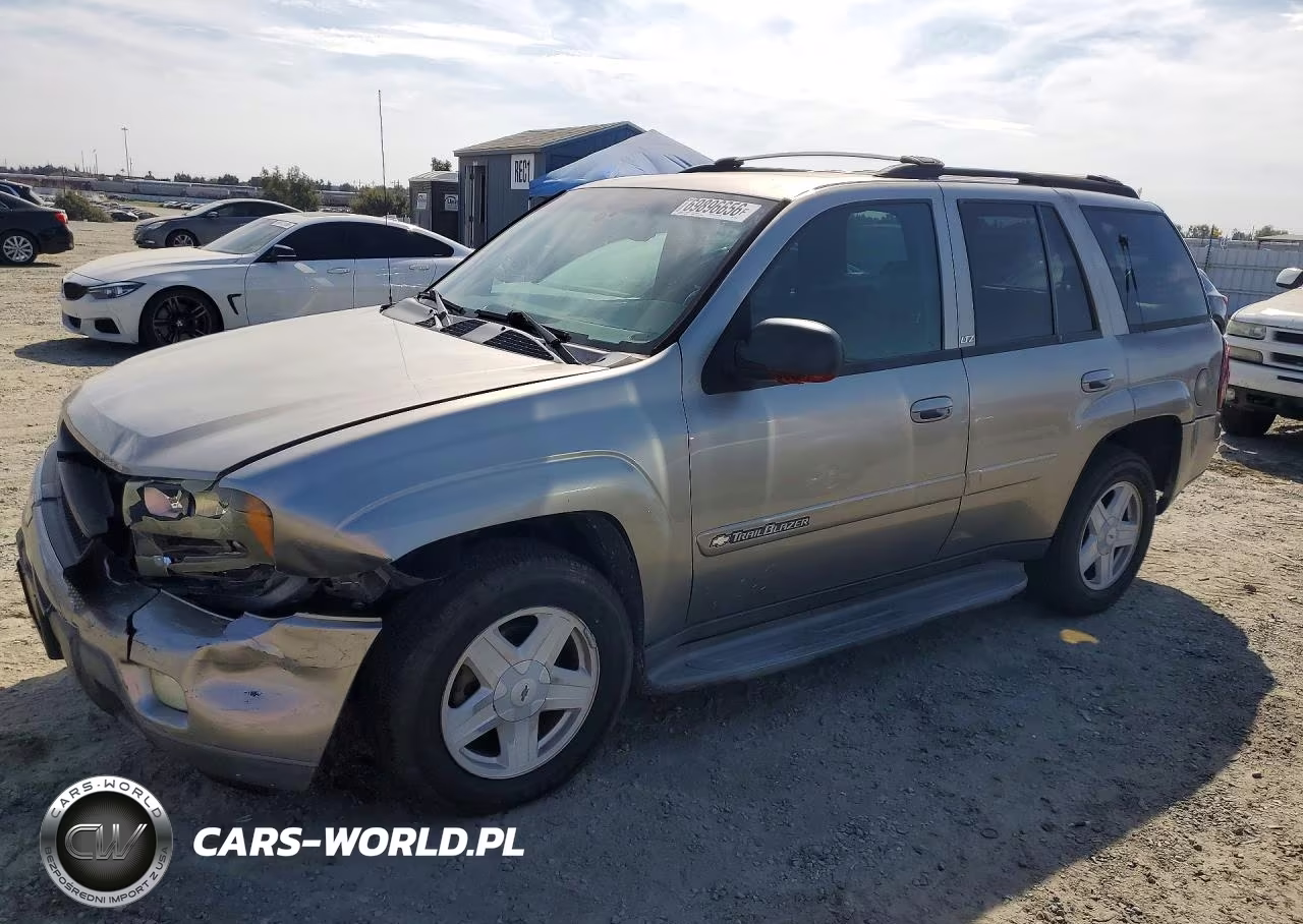 2002 Chevrolet Trailblazer VIN:1GNDT13S222394689 - 1