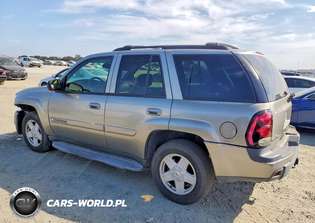 2002 Chevrolet Trailblazer VIN:1GNDT13S222394689 - 2