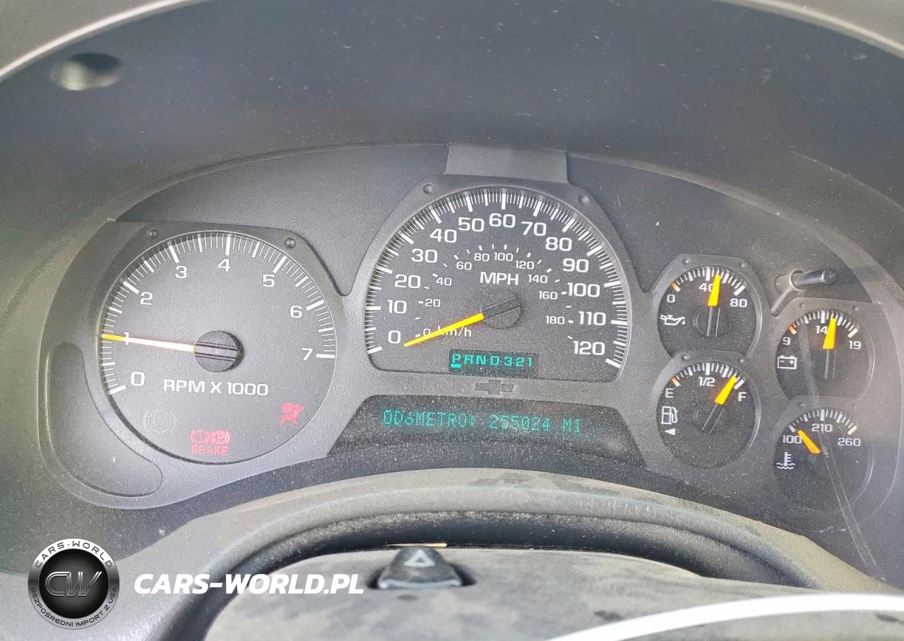 2002 Chevrolet Trailblazer VIN:1GNDT13S222394689 - 9