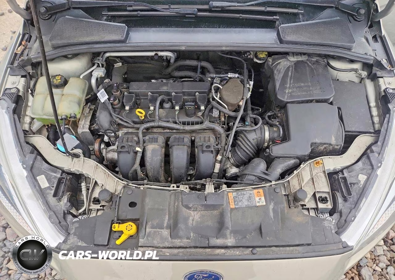 2016 Ford Focus Se VIN:1FADP3K21GL293287 - 11