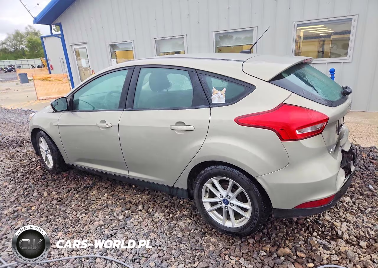 2016 Ford Focus Se VIN:1FADP3K21GL293287 - 2