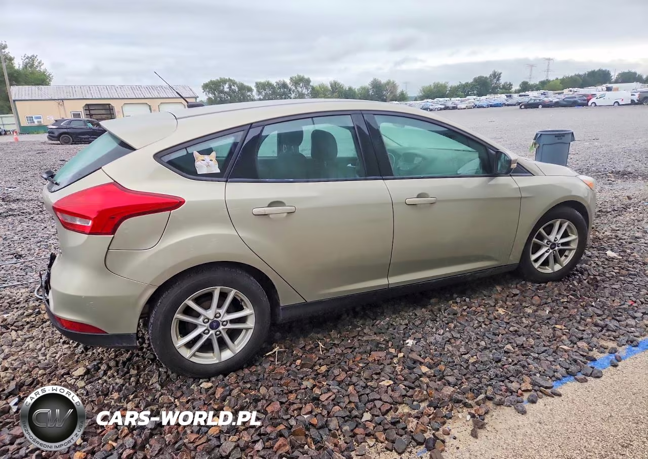 2016 Ford Focus Se VIN:1FADP3K21GL293287 - 3
