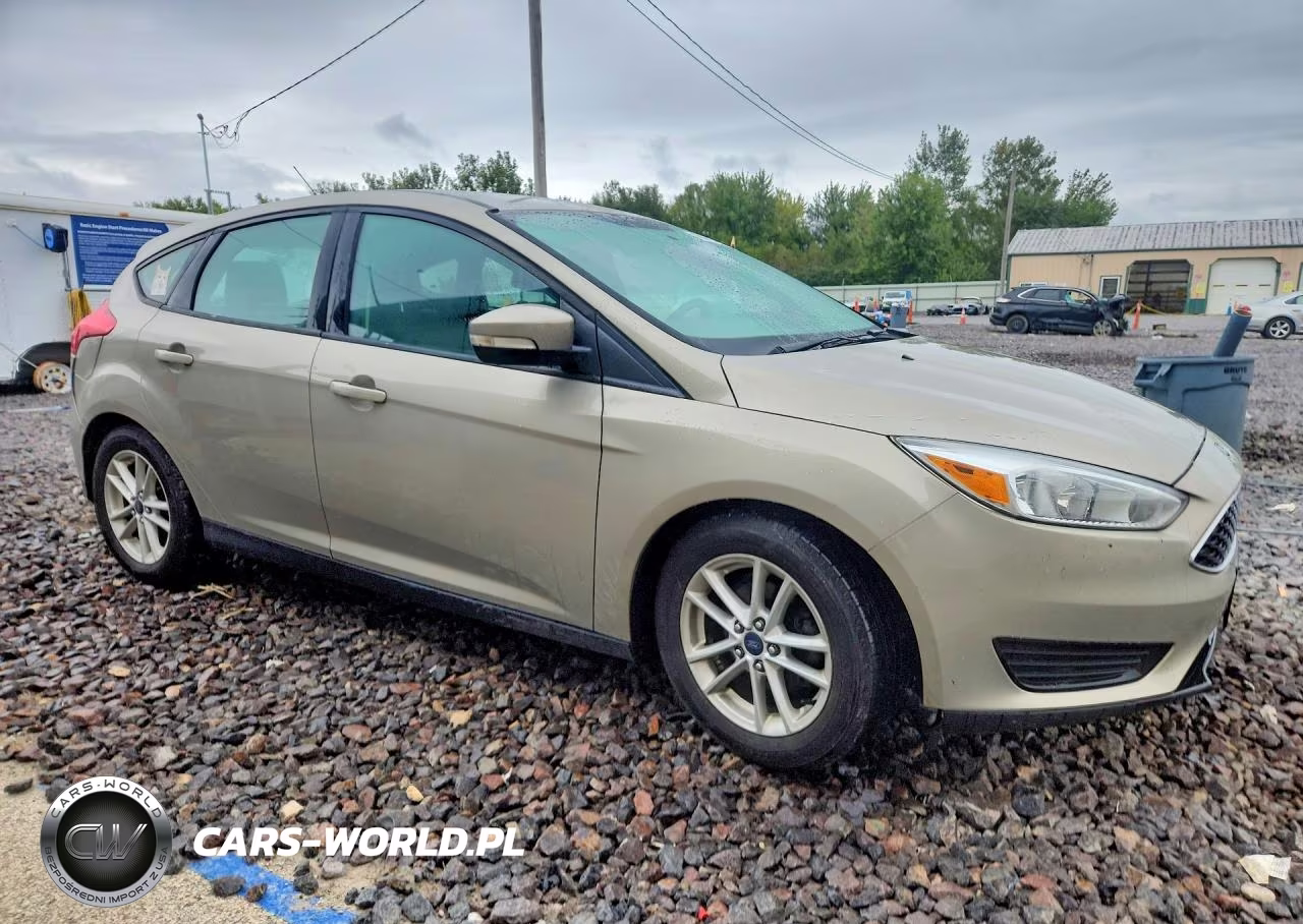 2016 Ford Focus Se VIN:1FADP3K21GL293287 - 4