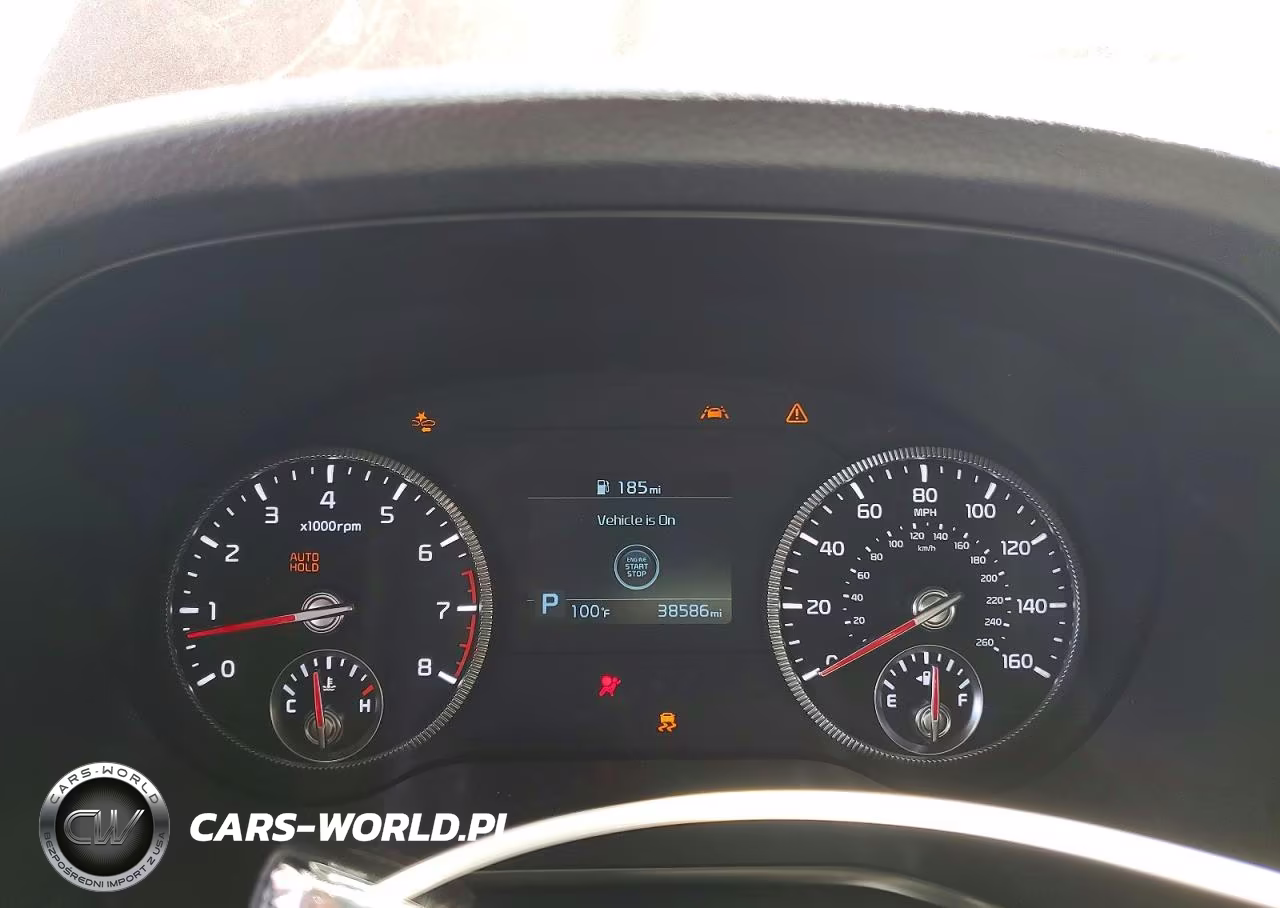 2021 Kia Telluride Ex VIN:5XYP34HC6MG160153 - 9
