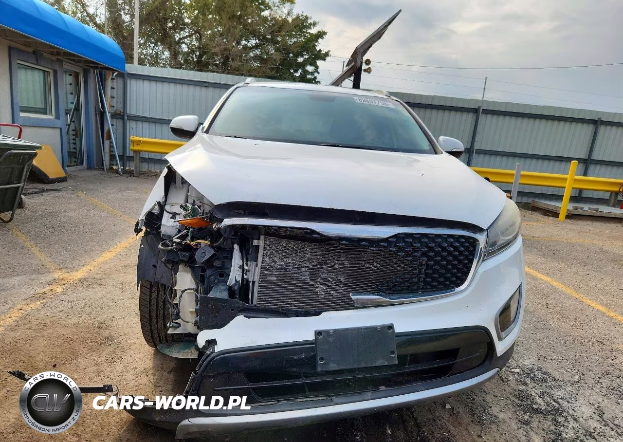 2017 Kia Sorento Ex VIN:5XYPH4A56HG237039 - 5