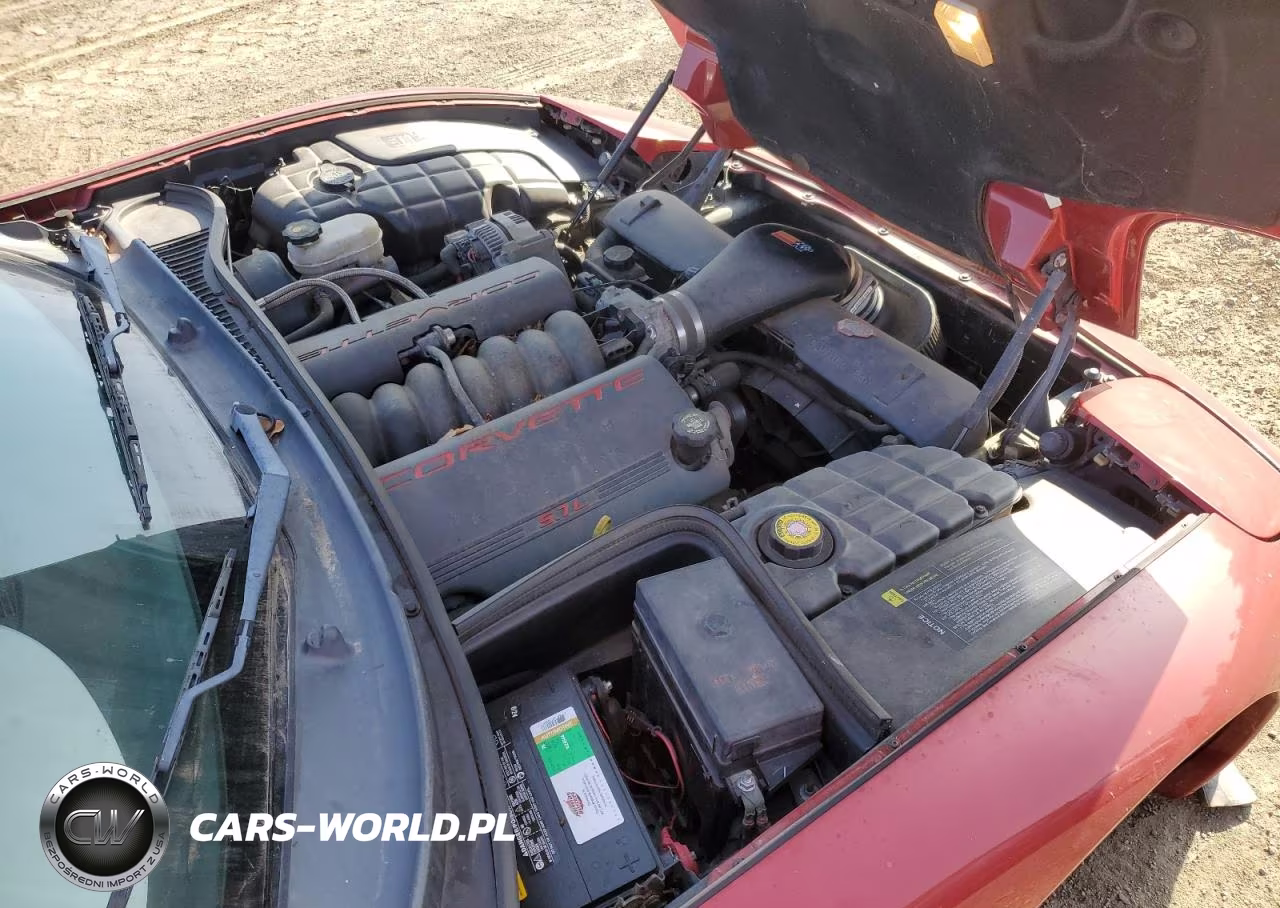 1998 Chevrolet Corvette VIN:1G1YY22G9W5118084 - 11